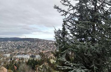 Kútvölgy