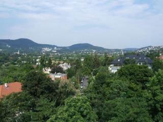 Rózsadomb