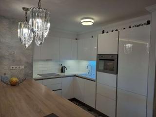 Lechner Ödön fasor